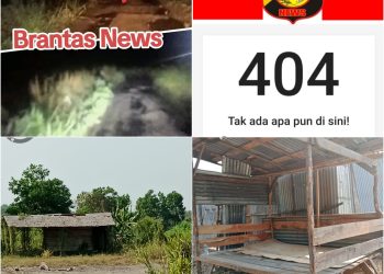 Diduga tempat barter/penukaran BBM jenis solar di bek up oknum POLRI/TNI dan oknum Wartawan
