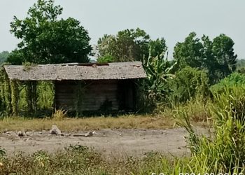 Diduga gudang tempat barter BBM jenis solar masih beroperasi di ogan ilir yang di bek,up oleh oknum anggota polda sumsel