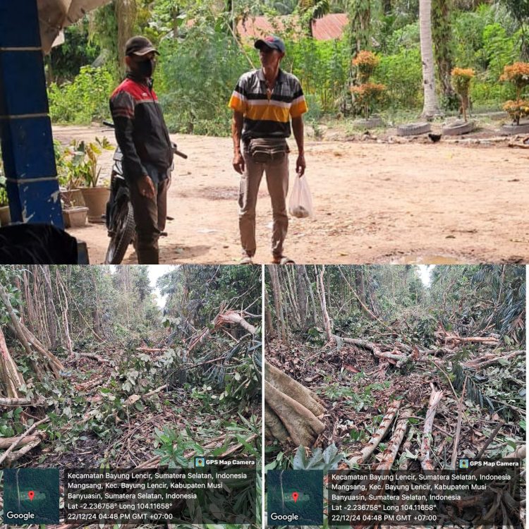 Mapia tanah buka hutan kawasan Tampa izin Kadin kehutanan provinsi sumatera selatan harus bertindak tegas