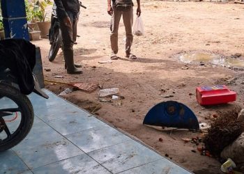 Diduga mapia tanah Garap hutan swaka KPH Lalan tidak ada upaya pencegahan