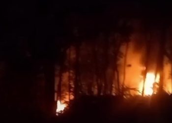 Diduga dua orang Oknum wartawan Mem bek,up Mafia minyak Yang sekarang jadi DPO