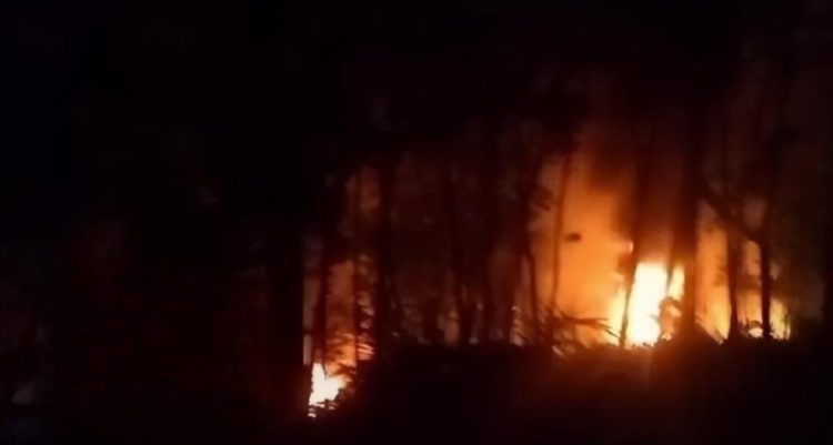 Diduga dua orang Oknum wartawan Mem bek,up Mafia minyak Yang sekarang jadi DPO