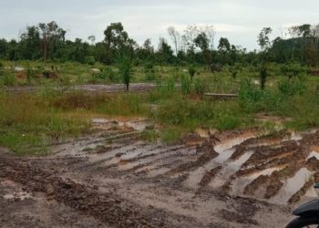 Jalan Desa Mendis KaliBerau Dusun 2 Menuju Dusun 3 Reban Kumbang Terputus Karena Banjir Akibat Penggalian Batu Bara PT MANGALA ALAM LESTARI( PT.MAL)dan PT TATA BARA UTAMA(PT.TBU)