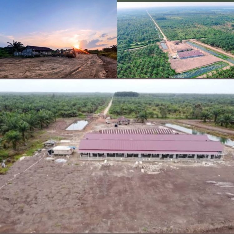 Diduga Sejak Tahun 2009/2023 PT Andira Tidak Memiliki Izin HGU Karna Banyak nya Sangahan Dari Masyarakat Sehingga Izin HGU/Prinsip nya Tidak di Keluarkan