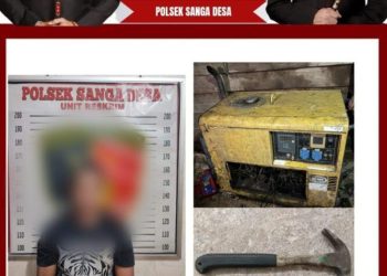 Aparat kepolisian Sanga desa Berhasil Mengamankan Diduga Pelaku Pencurian di Wilayah hukum Polsek Sanga desa