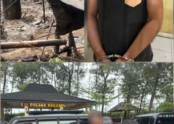 Diduga Oknum Anggota Polisi’ Rebutan Lahan Minyak Ilegal Di Area PT Hindoli Cargil Kapolda Sumsel Harus Bertindak Tegas .