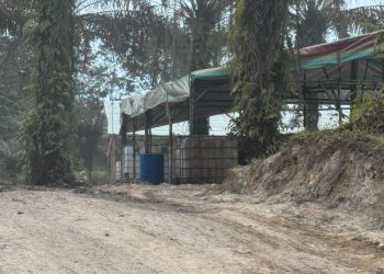Polres Muba Diduga Belum Maksimal Menertibkan Sumur Minyak Ilegal Drilling dan Ilegal Repenery.