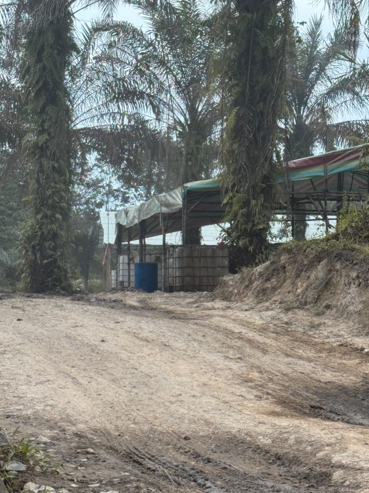 Polres Muba Diduga Belum Maksimal Menertibkan Sumur Minyak Ilegal Drilling dan Ilegal Repenery.