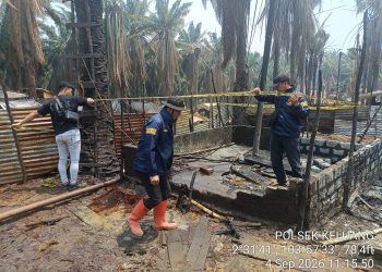 Kebakaran Sumur Minyak Di Lahan HGU PT Hindoli Pihak Polsek Keluang Langsung Terjun ke TKP,